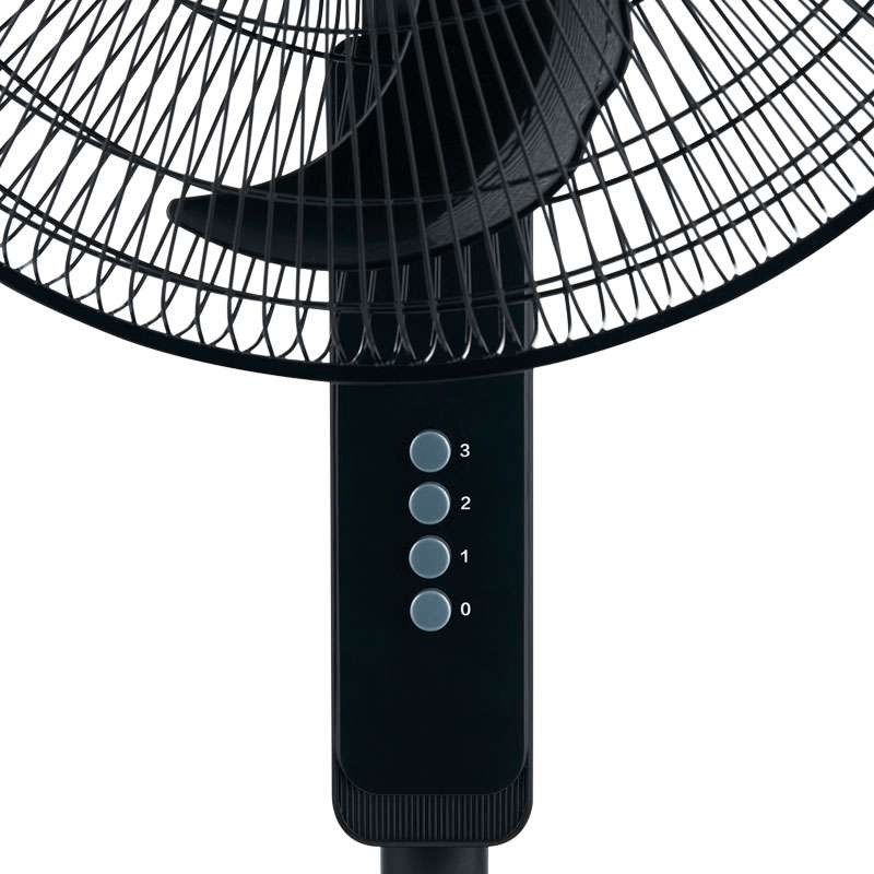 dgscazca.png